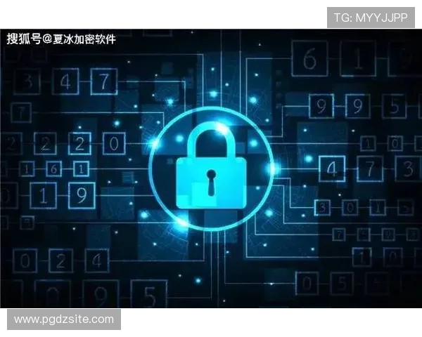 探索pg网站的安全保障措施，保障用户隐私与资金安全的实用指南